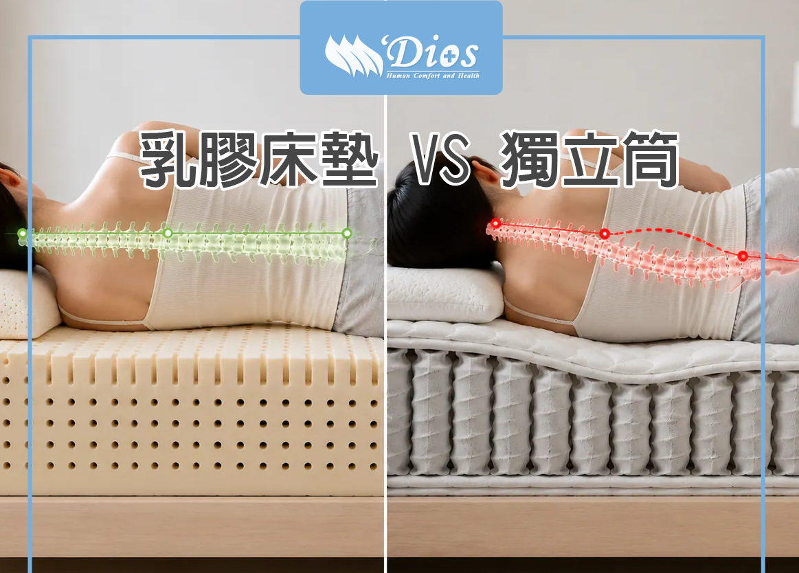 乳膠床與獨立筒實測
