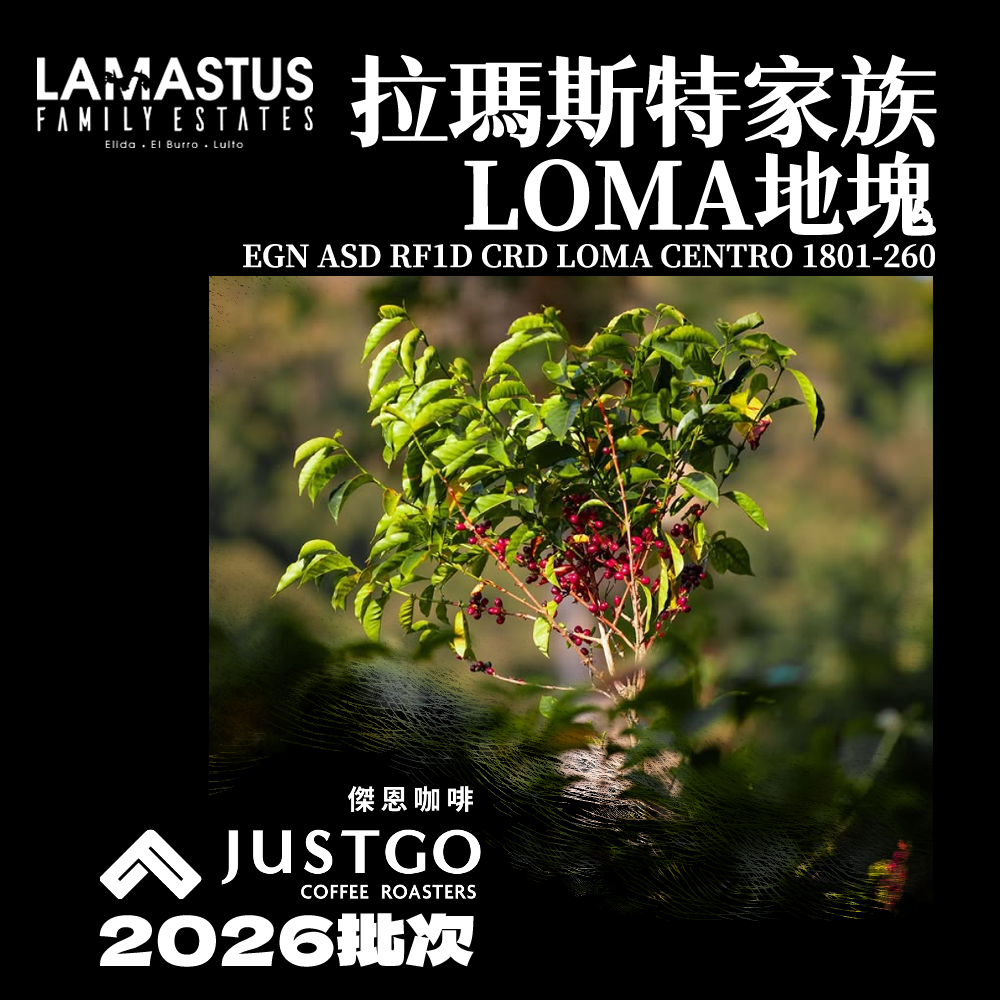 [生豆] 拉瑪斯特家族 LOMA地塊 EGN ASD RF1D CRD LOMA CENTRO 1801-260（Lot 05）