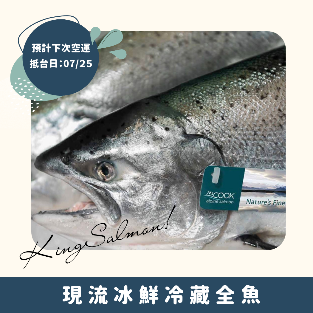 【 預計7/25抵台 ✨現流冰鮮冷藏全魚】庫克山冰河帝王鮭-冷藏全魚(4 kg ± 5%）