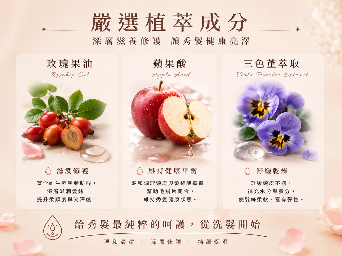 護色酸性平衡洗髮精成分|玫瑰果油、蘋果酸、三色堇萃取,深層滋養修護秀髮