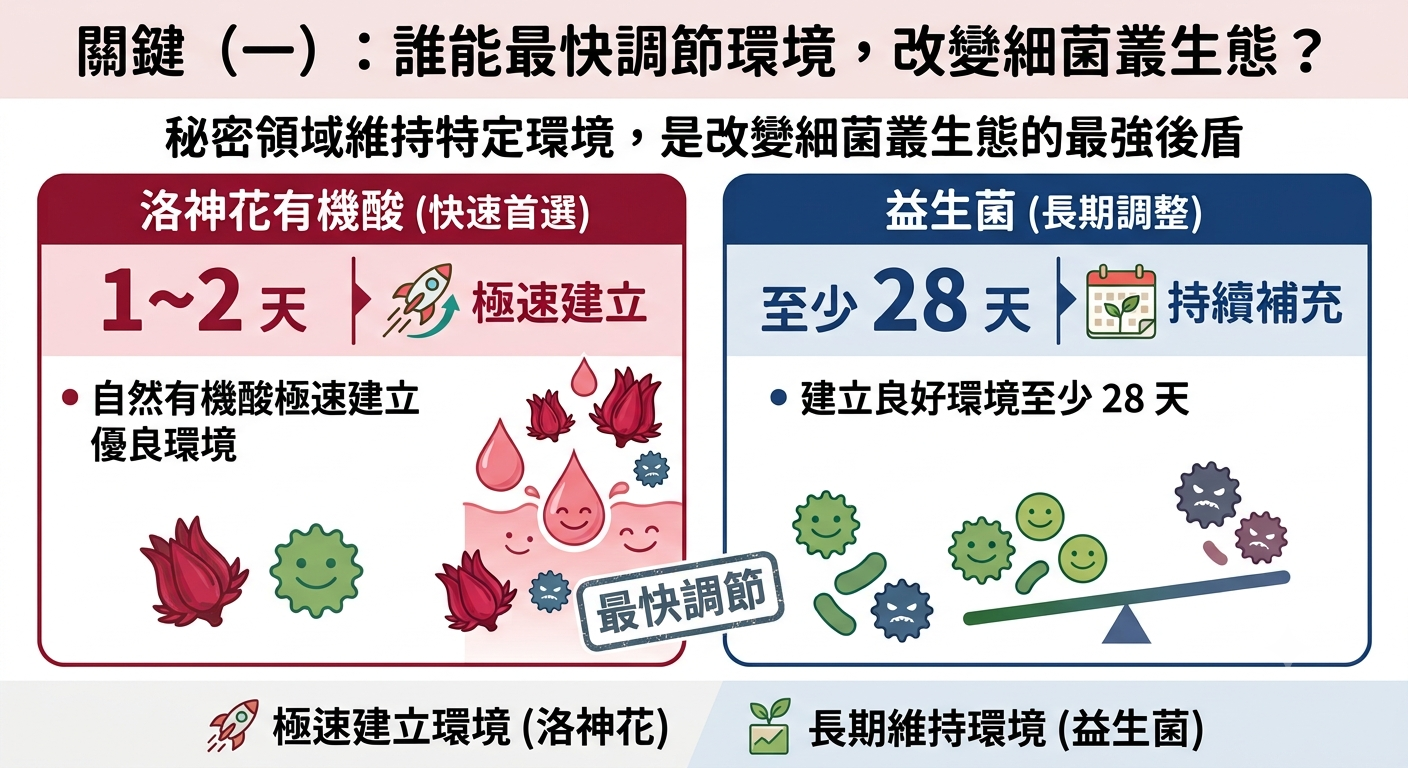 洛神花有機酸與益生菌調節私密環境速度對比圖。關鍵一顯示:洛神花有機酸主打快速首選,僅需1~2天極速建立優良環境;益生菌則為主打長期調整,需要至少28天持續補充以維持良好環境。