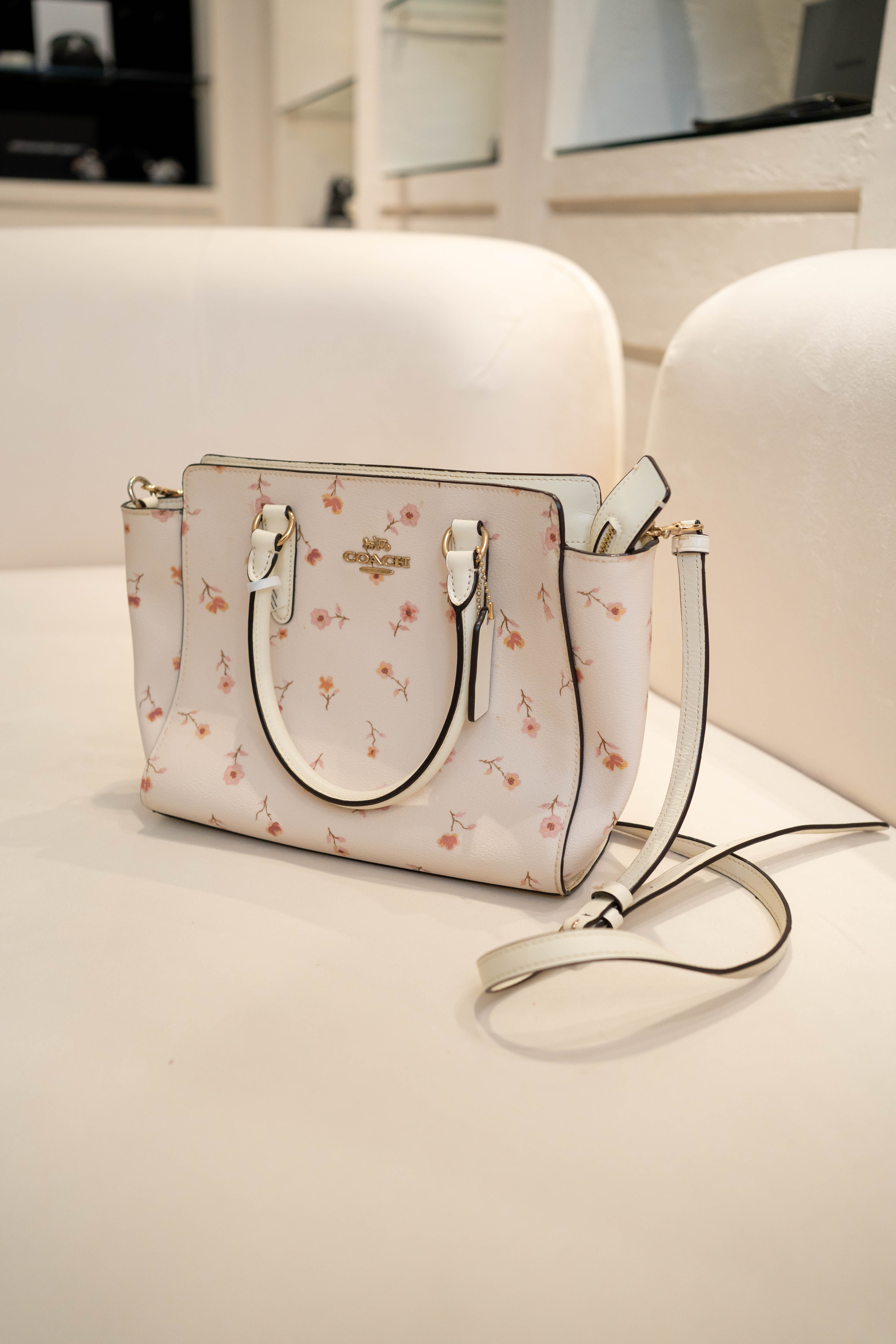 【寄賣】Coach Mini Sage Carryall 搭配 Vintage Prairie 印花