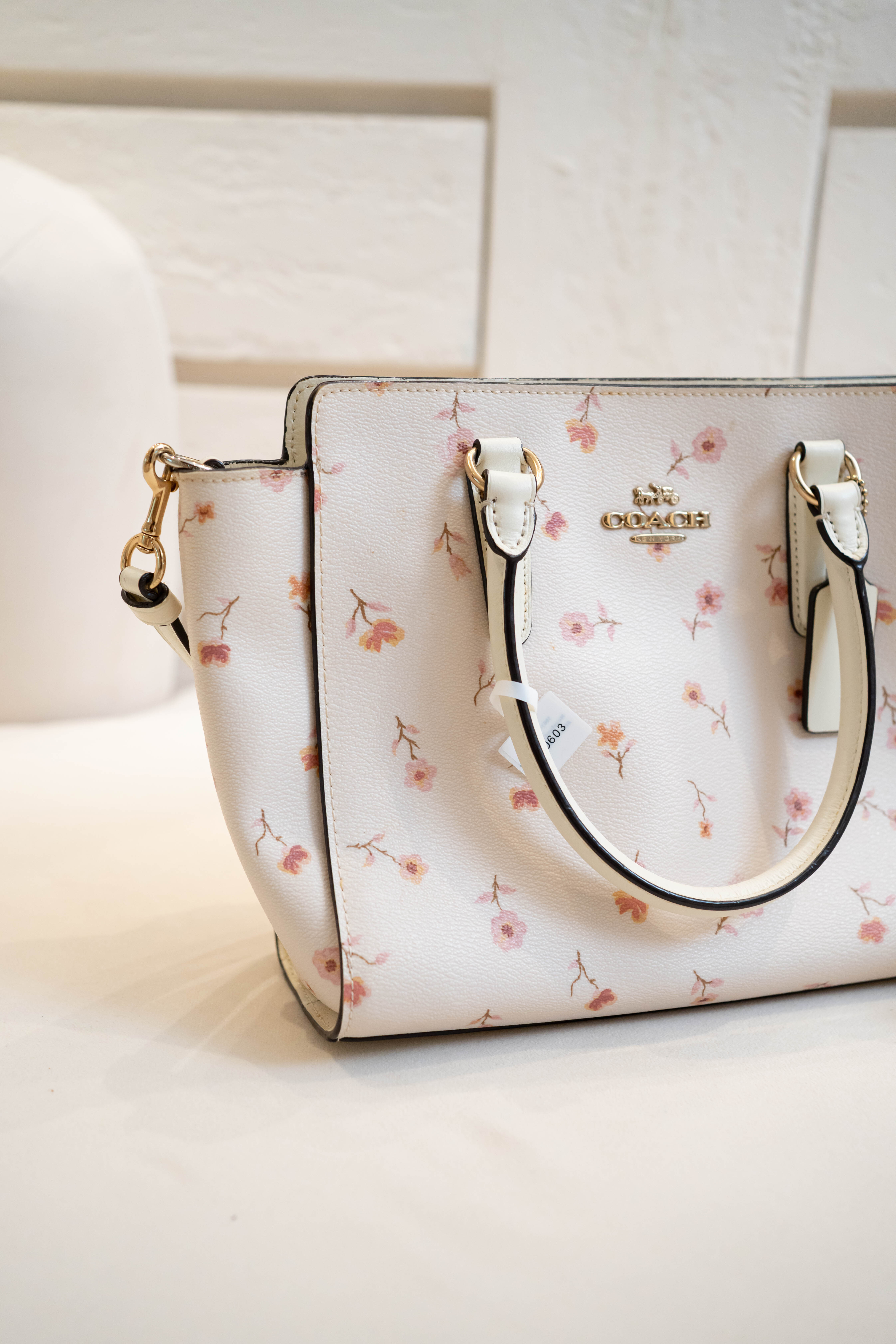 【寄賣】Coach Mini Sage Carryall 搭配 Vintage Prairie 印花
