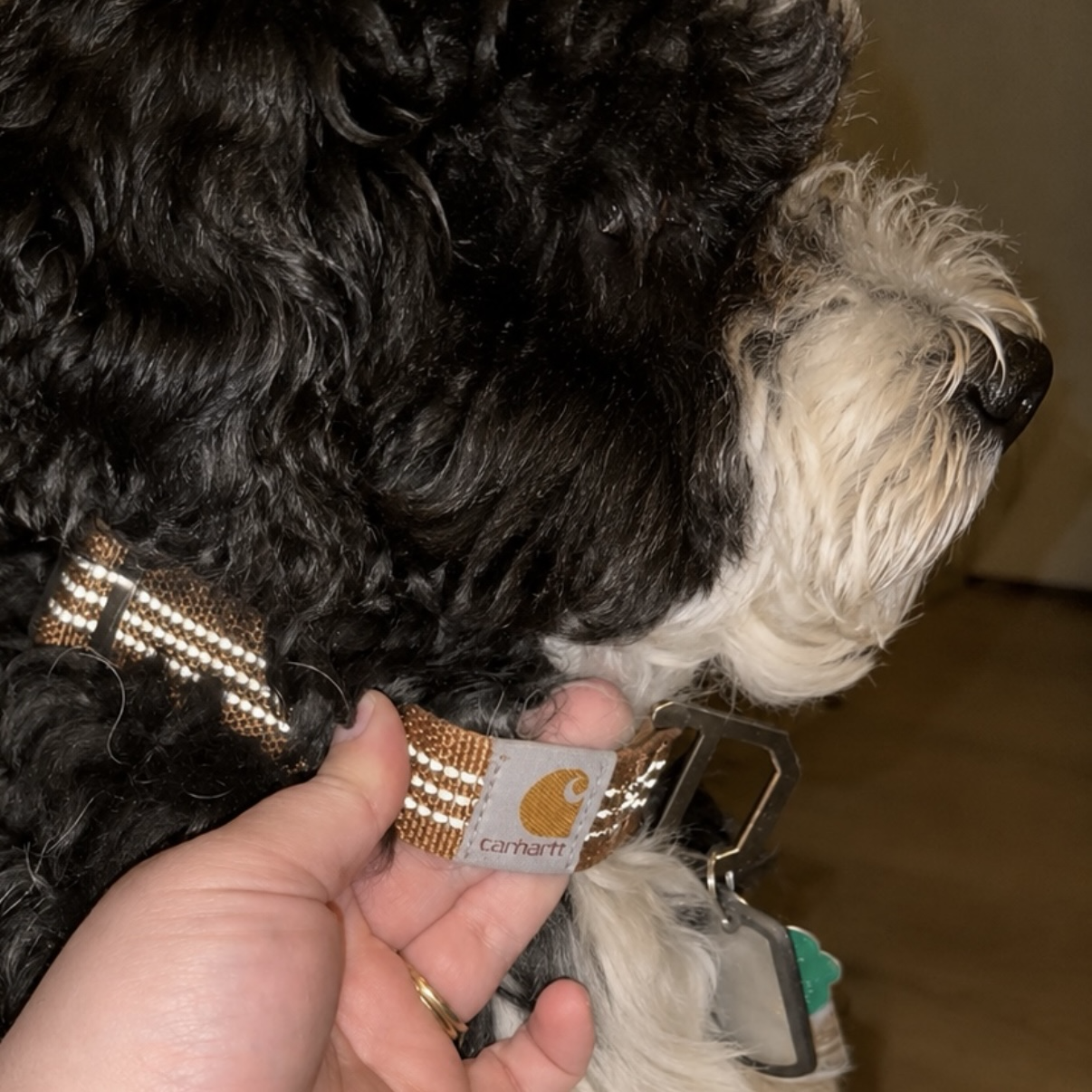<送🐶> Carhartt 超萌！！狗狗尼龍織帶 反光車線項圈