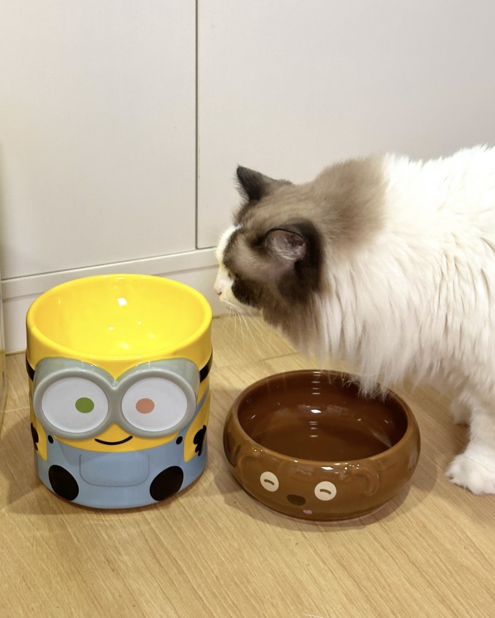 <正版授權>小小兵 BOB 陶瓷寵物餐碗