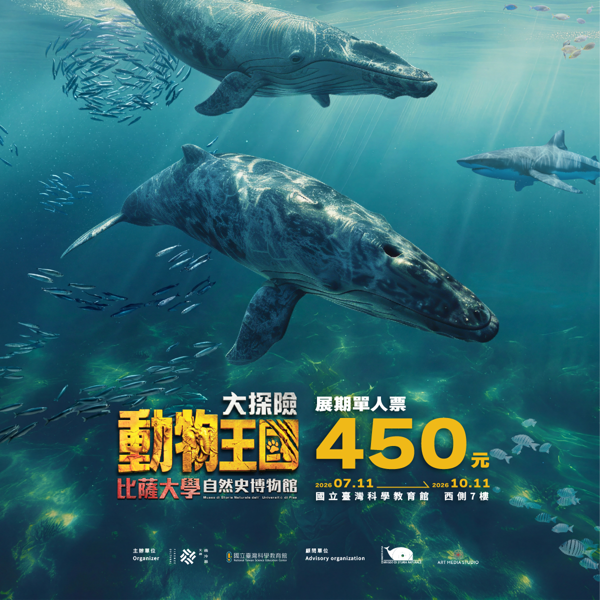 Animal Kingdom Adventure Exhibition – University of Pisa Natural History Museum