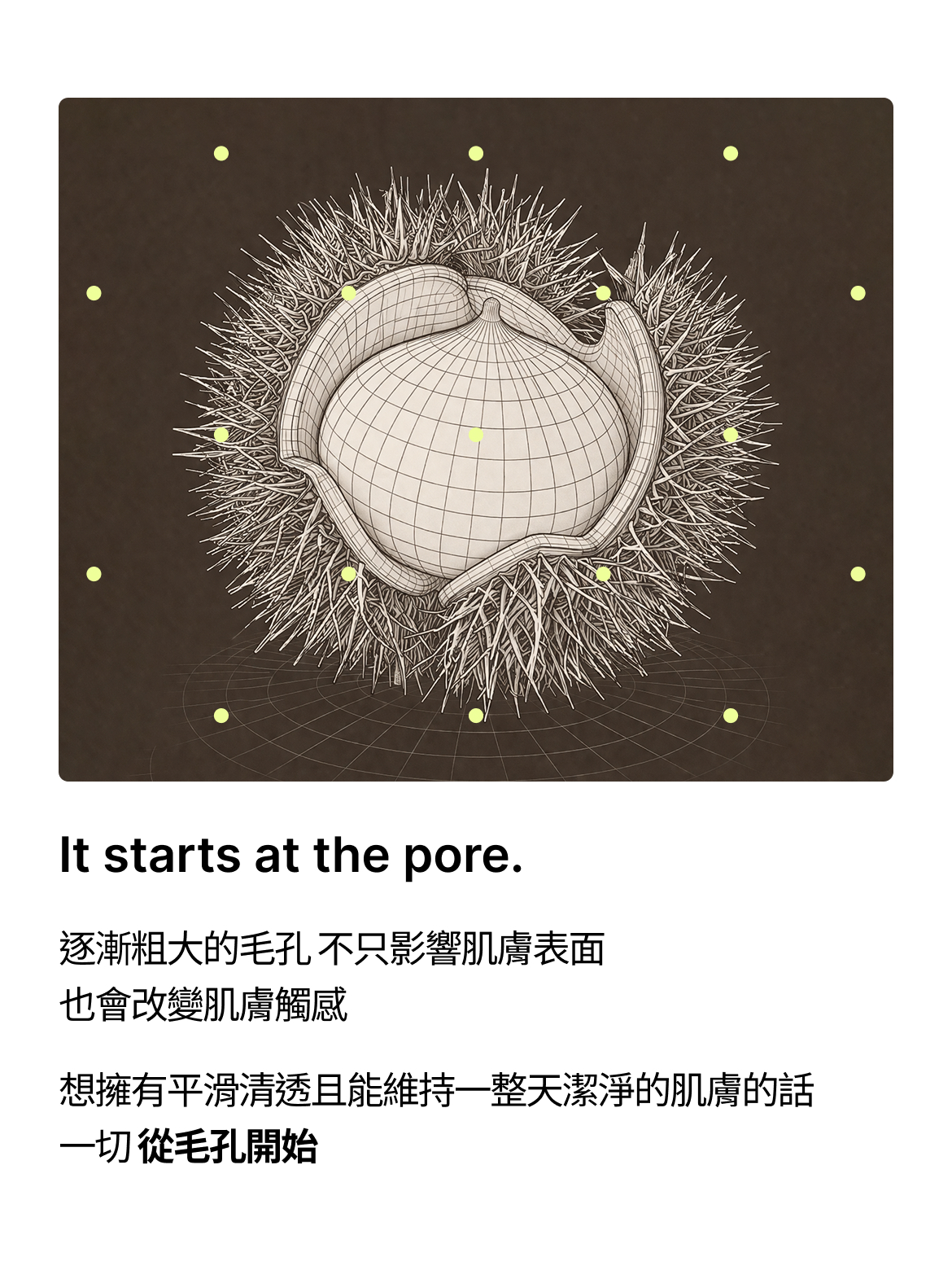 PO:DL品牌故事02