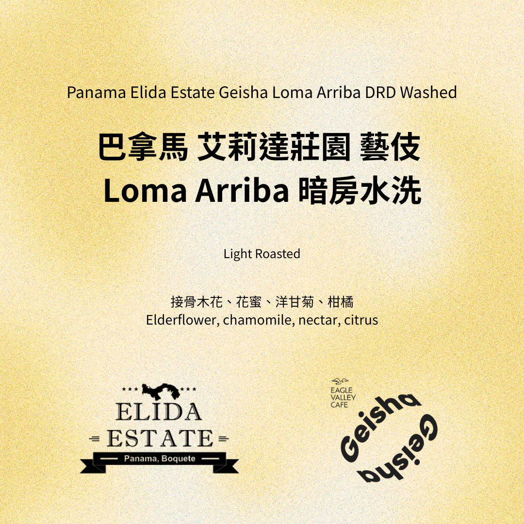 巴拿馬 艾莉達莊園 藝伎 Loma Arriba DRD 暗房水洗 淺焙 咖啡豆