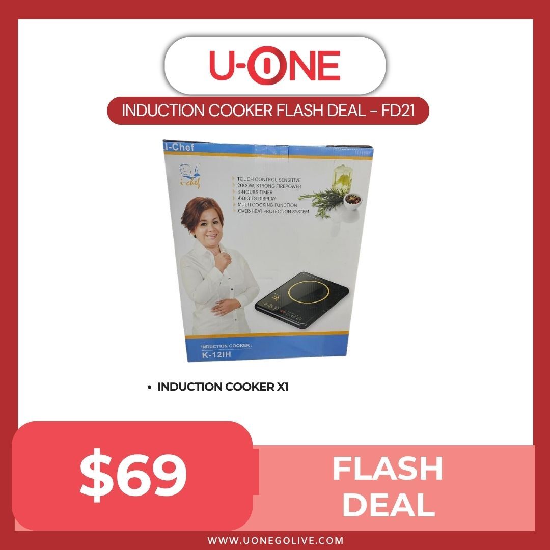 INDUCTION COOKER FLASH DEAL - FD21