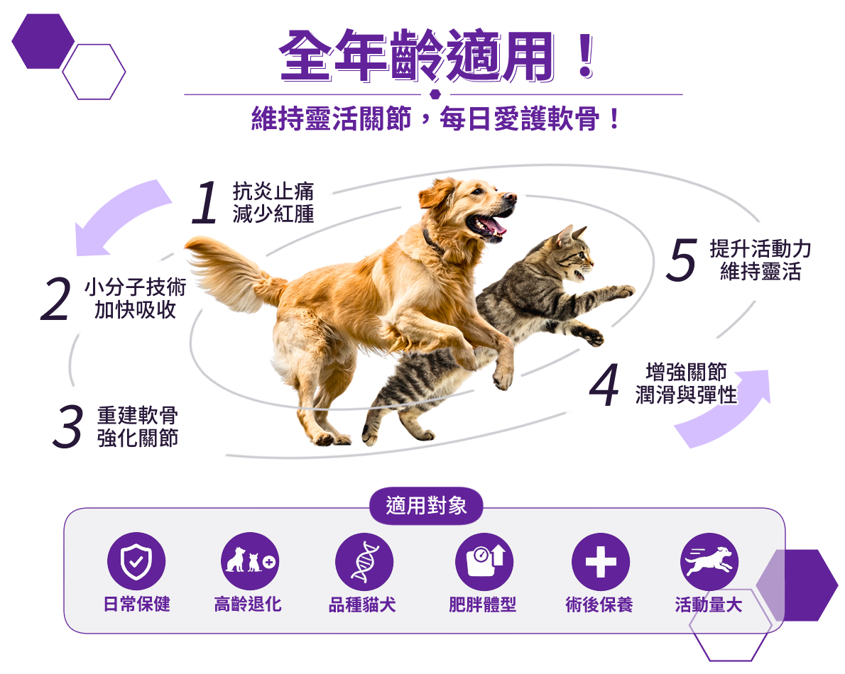 DR.pet 維骨素修護軟骨天然配方