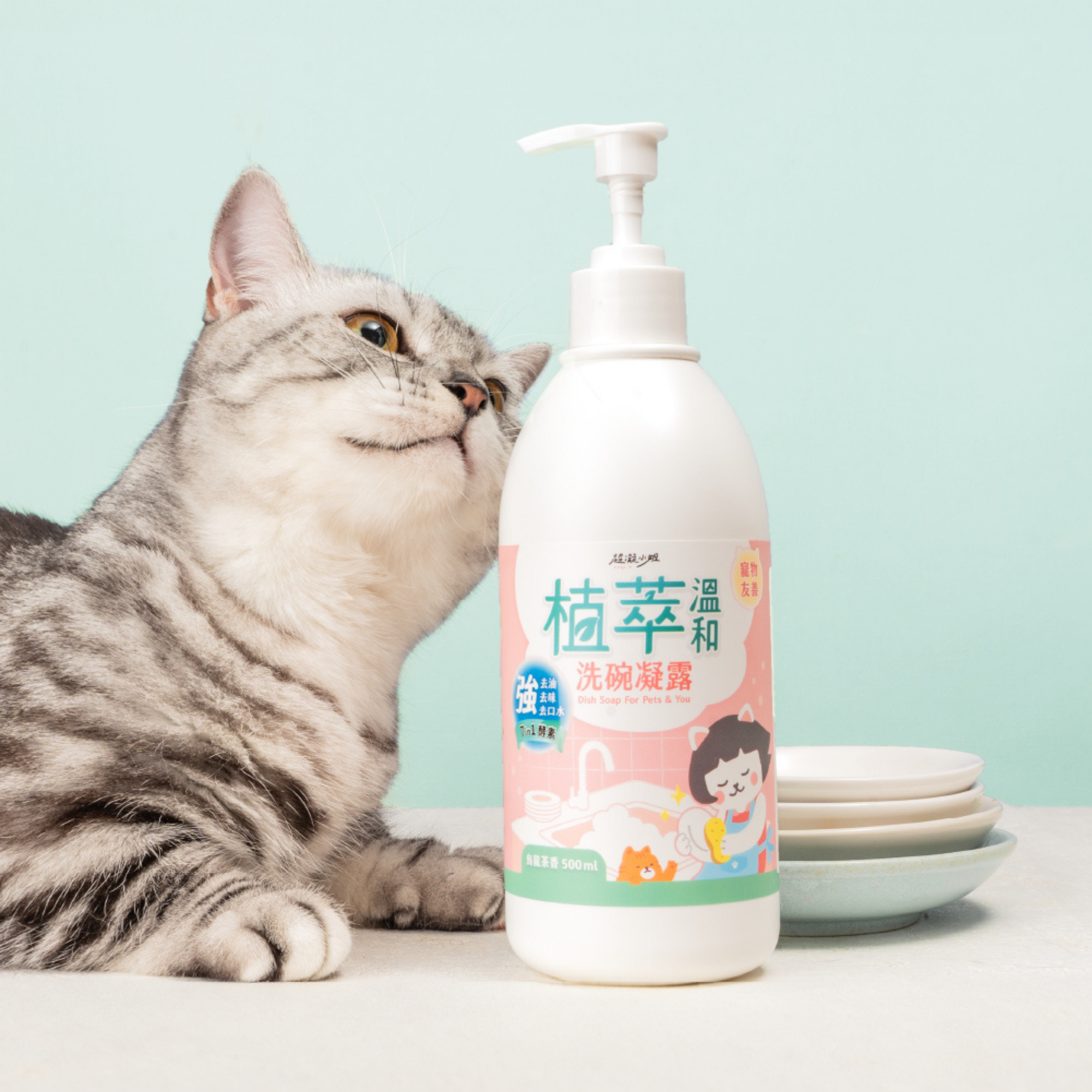 超凝小姐 Ladyn 植萃溫和洗碗凝露 500ml【人寵共用】烏龍茶香
