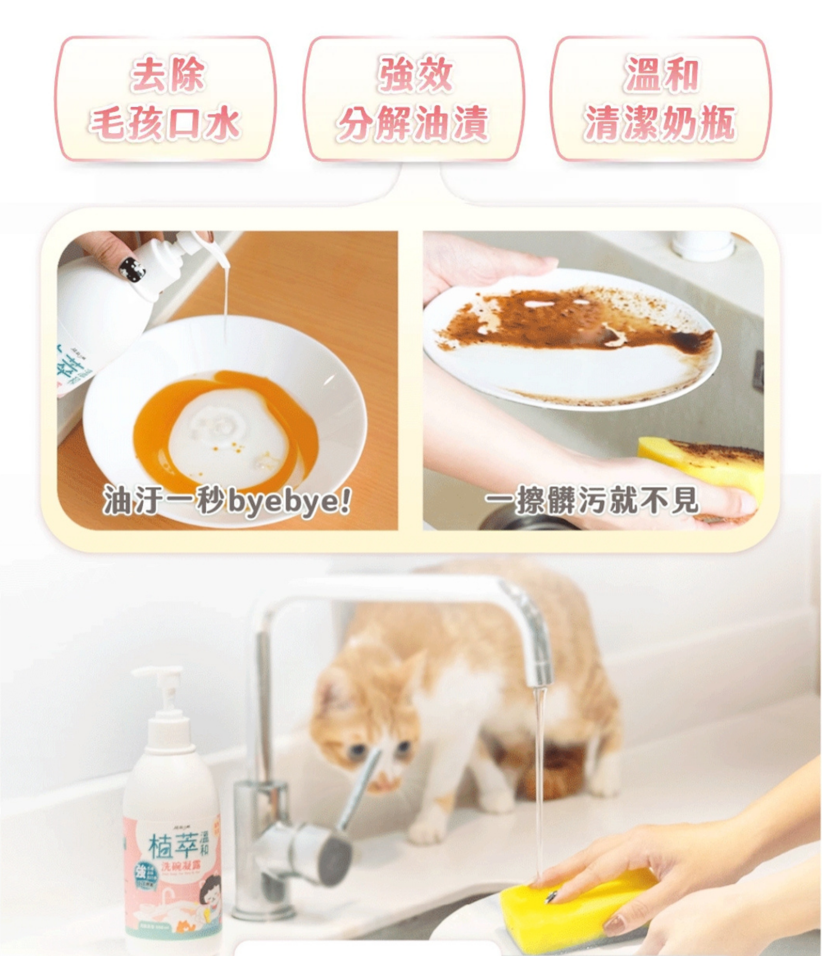 超凝小姐 Ladyn 植萃溫和洗碗凝露 500ml【人寵共用】烏龍茶香