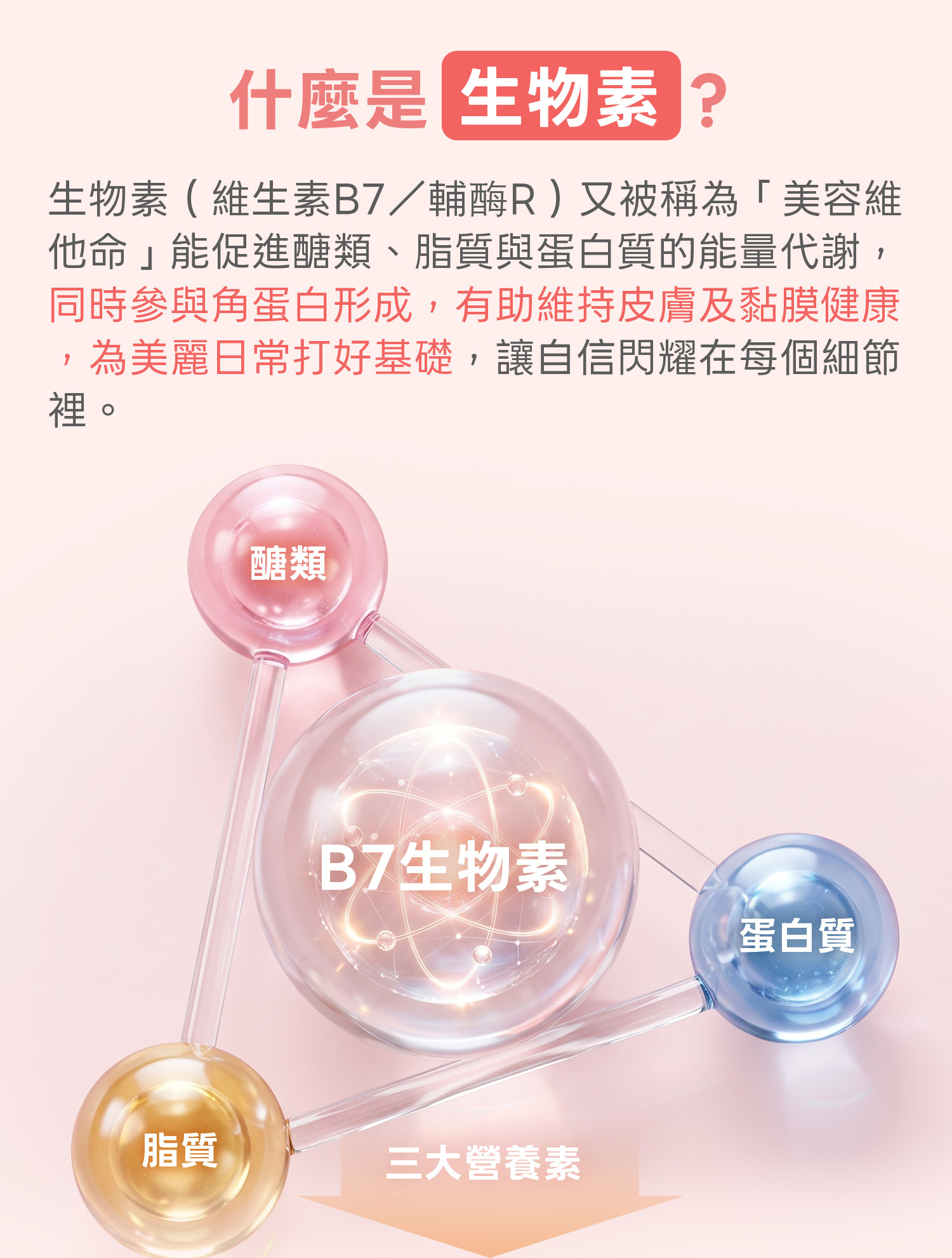 3-DHC持續型生物素-什麼是生物素