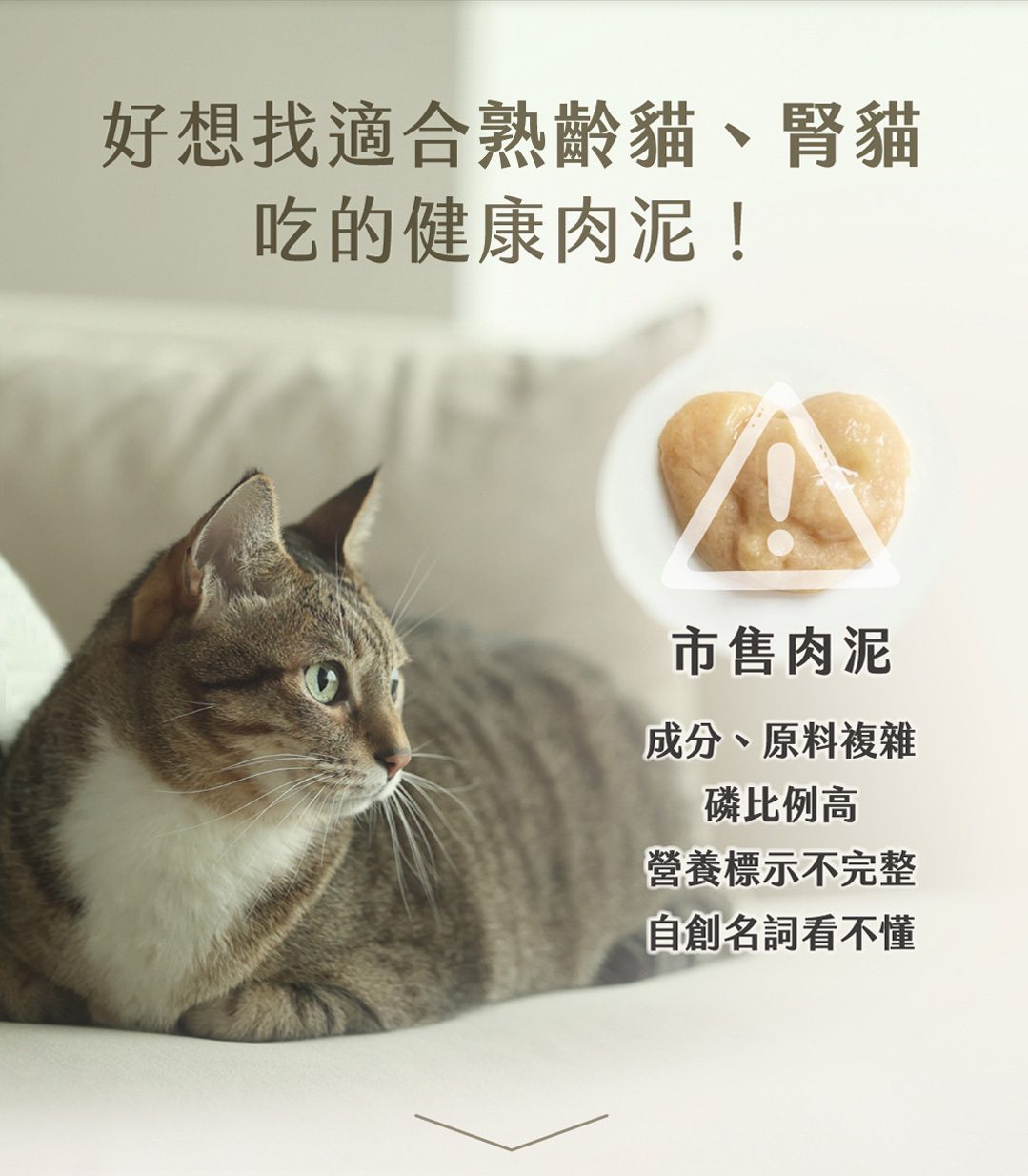 熟齡貓肉泥推薦喵食喵事鮮牛精肉泥腎貓可食