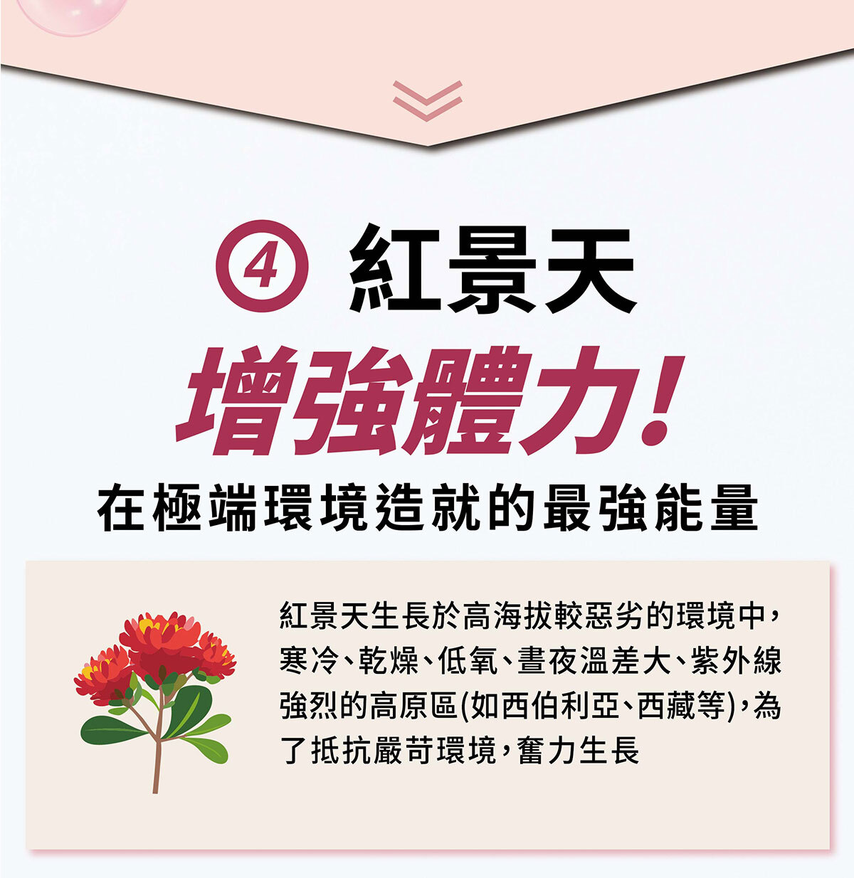 紅麴Q10銷售頁-10