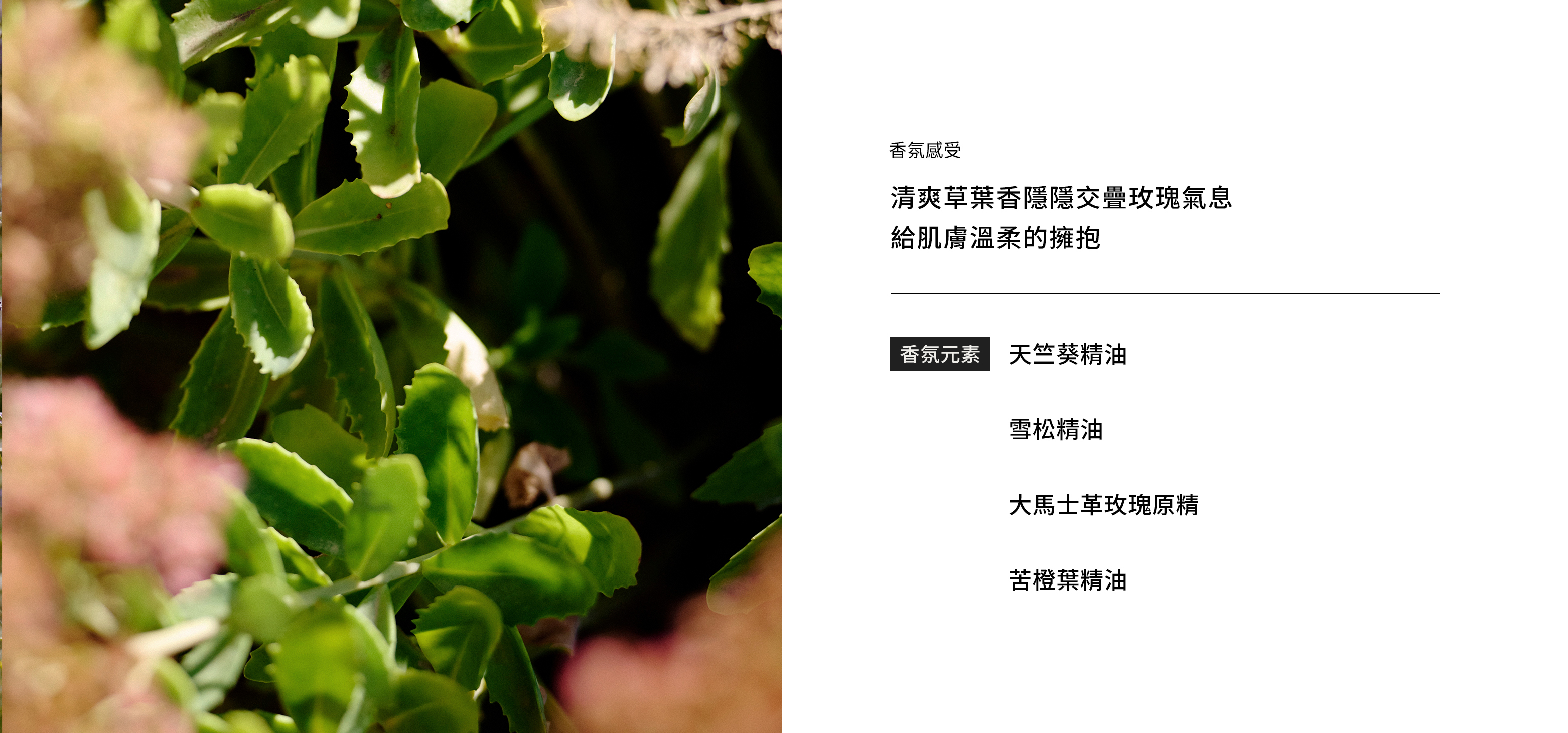 全效修護乳霜