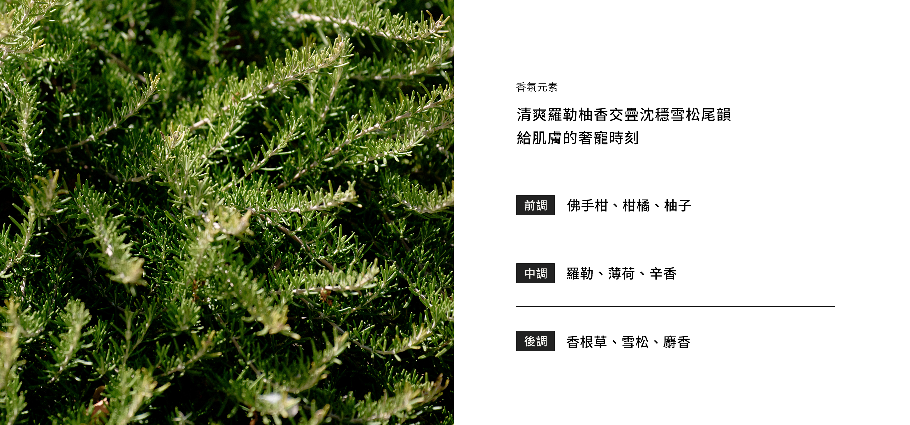 馥活平衡沐浴露