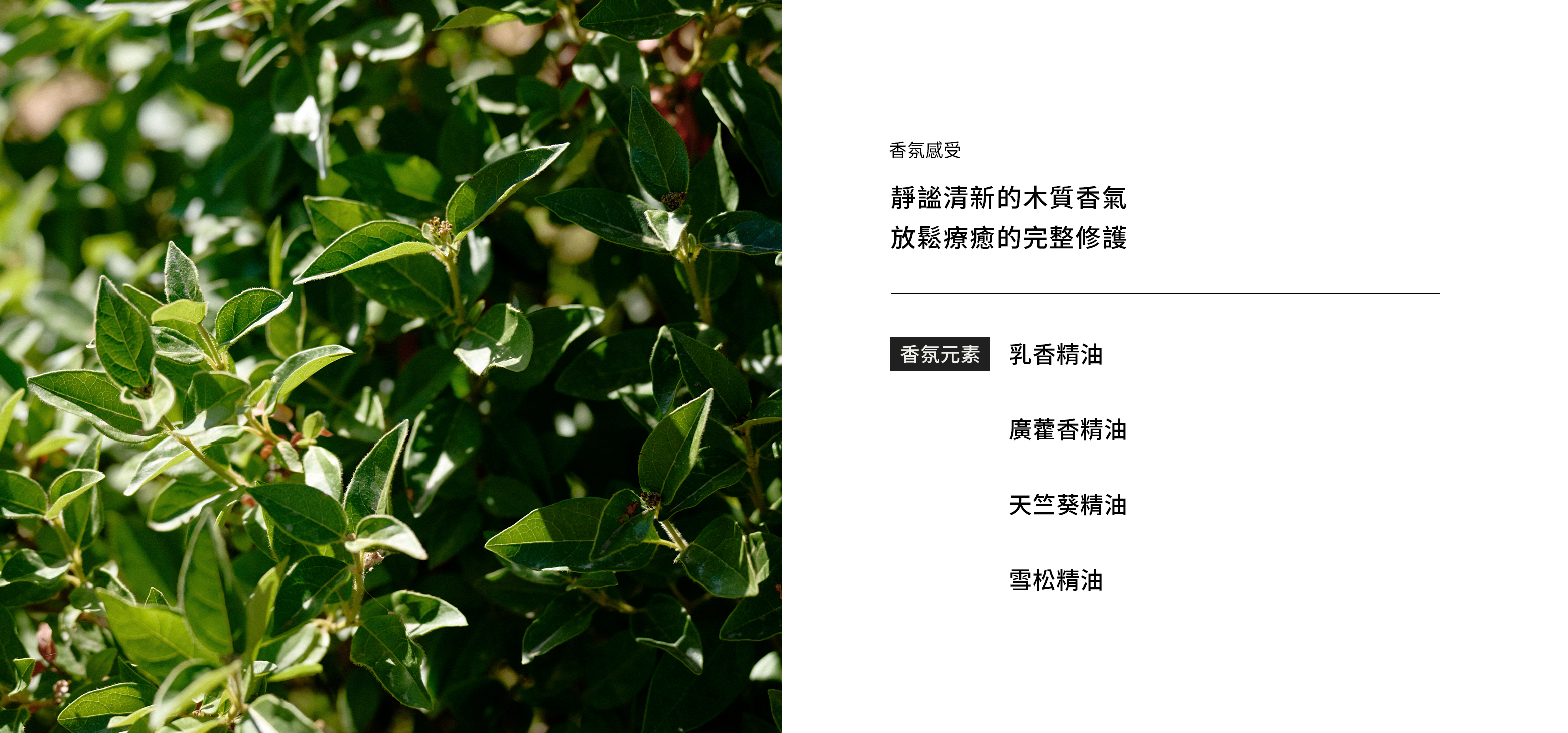 全效修護精華