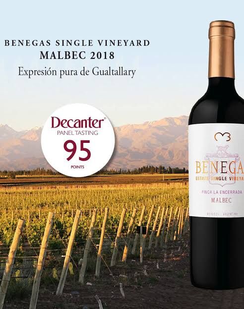 Bodegas Benegas,  Estate Single Vineyard Malbec 2018