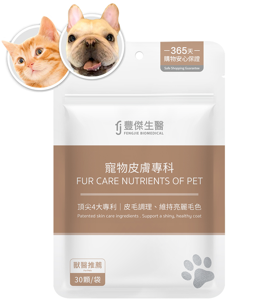 寵物皮膚專科