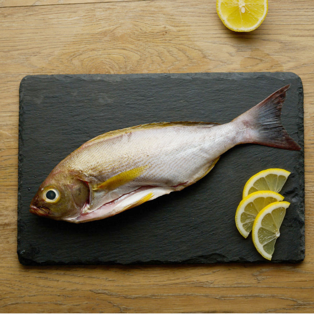 鮮魚-澎湖野生黃雞魚 200-260g