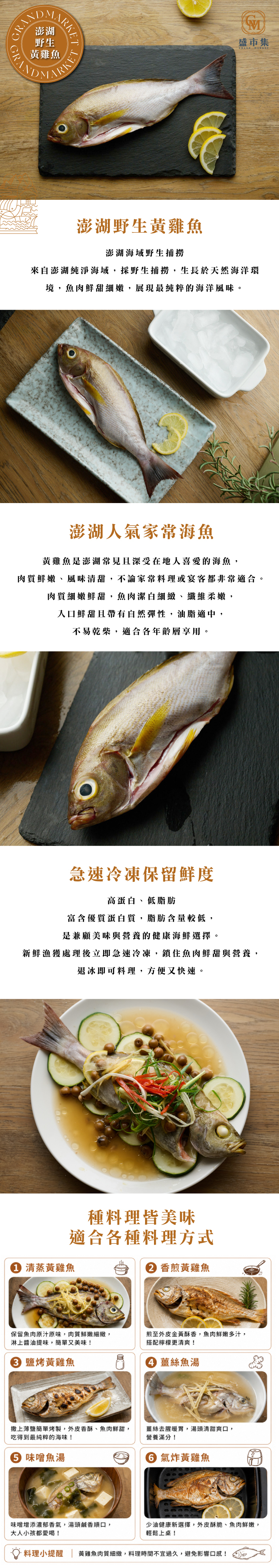 鮮魚-澎湖野生黃雞魚
