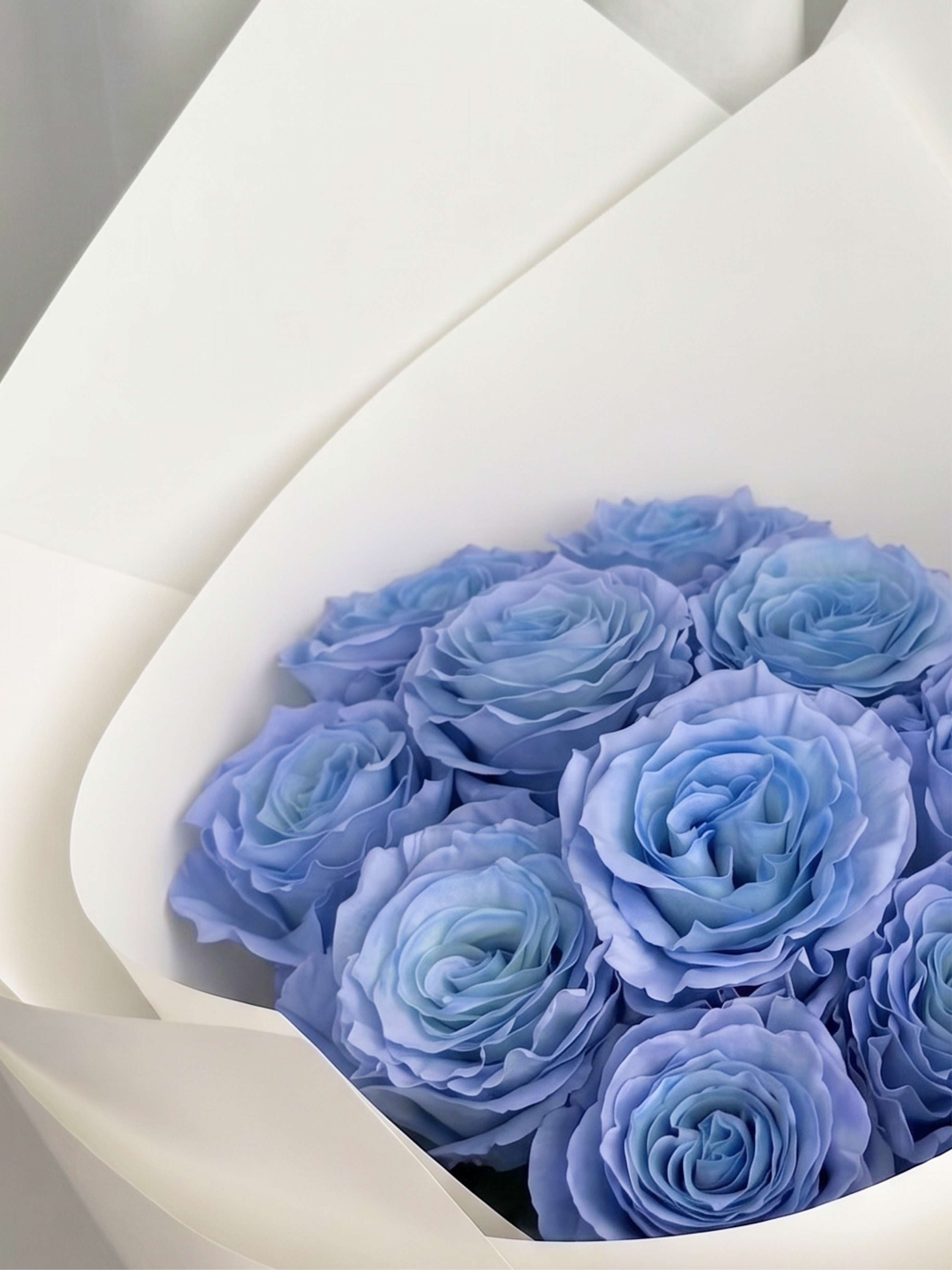 Bellerina．芭蕾女伶 進口玫瑰鮮花束