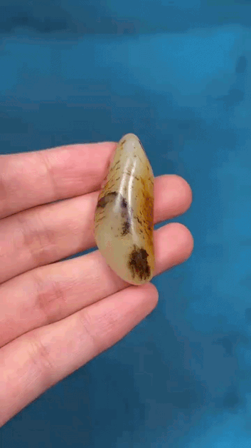 628219 和田玉獨籽原石