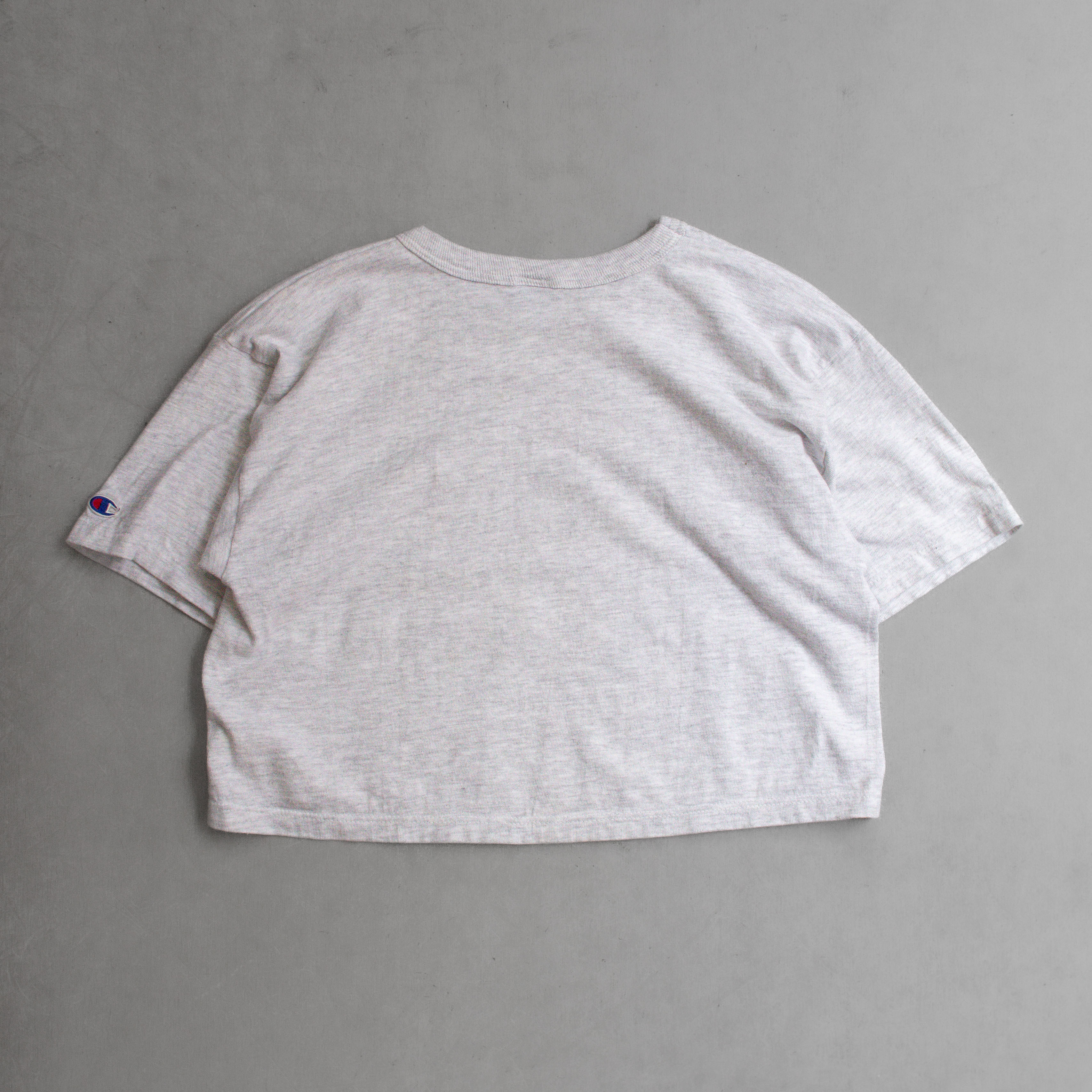 90S CHAMPION DAYTON CROPPED TEE 美國製 灰色 大學 短版 T恤