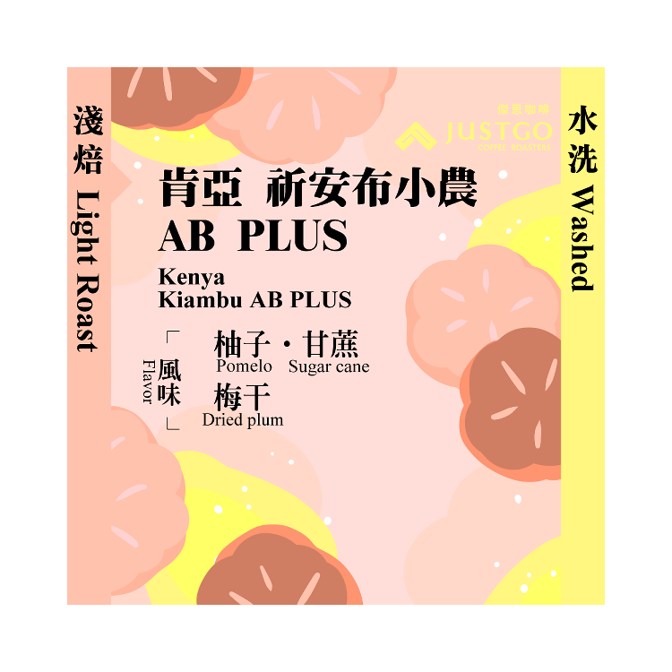 [淺焙] 肯亞 祈安布小農 AB PLUS [水洗]