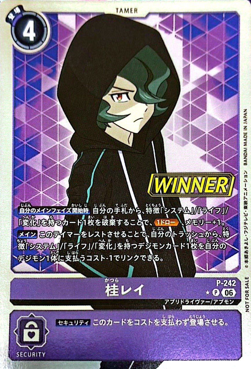 P- 242 (06)(WINNER)