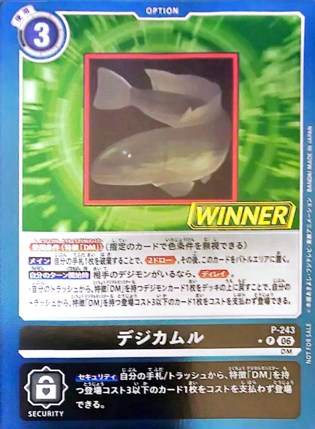 P- 243 (06)(WINNER)