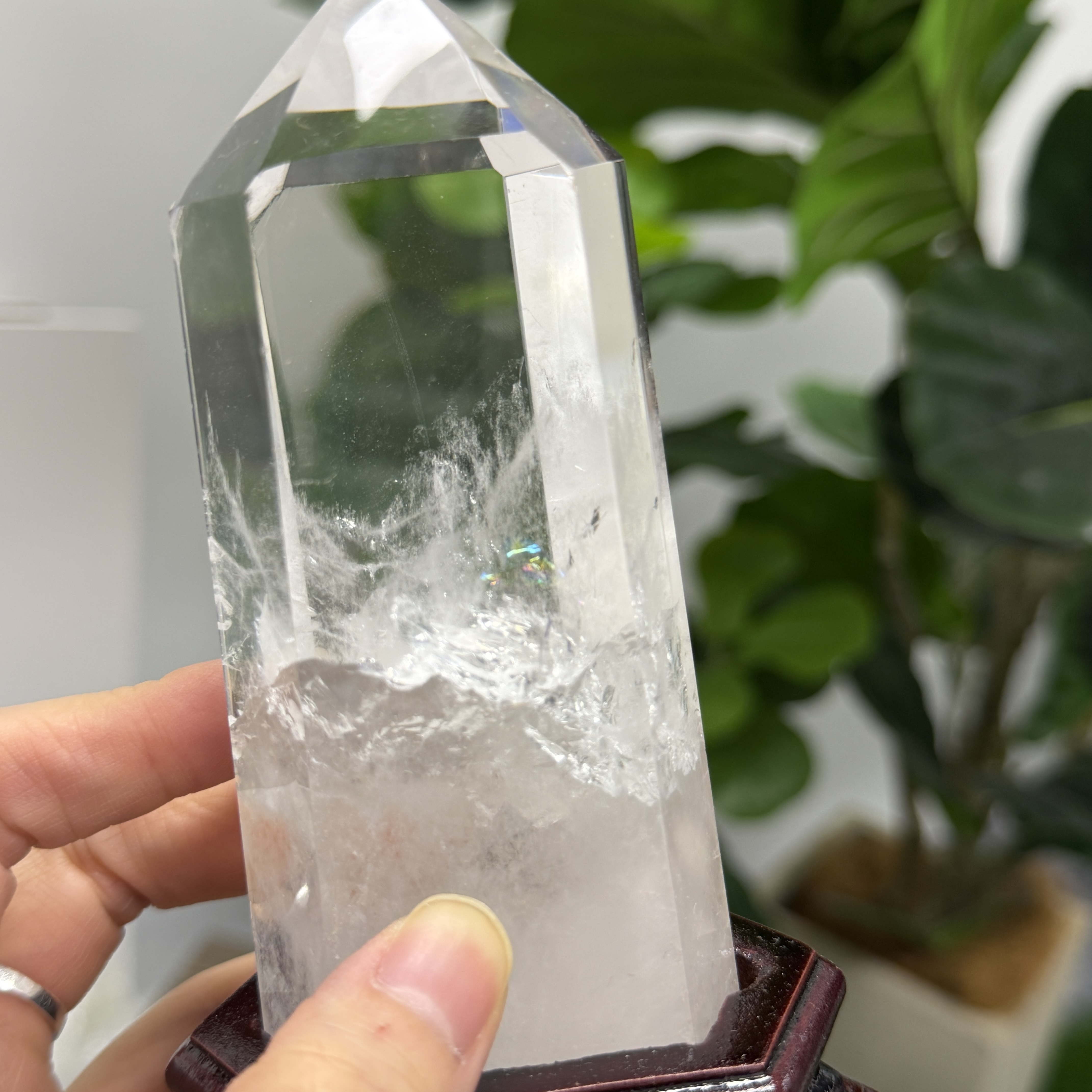 白晶柱 手圍15.5以上 WD2367