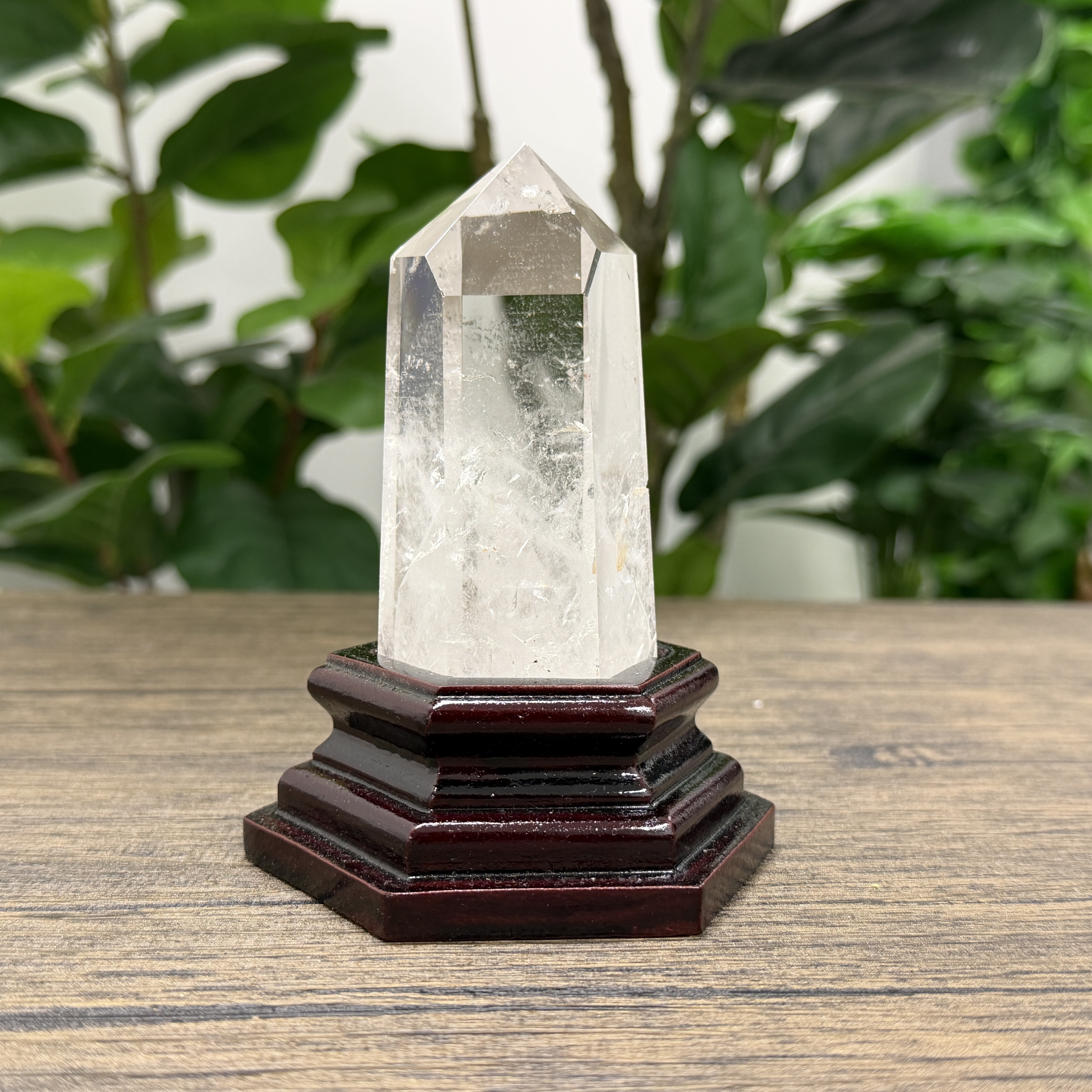 白晶柱 手圍15以上 WD2369