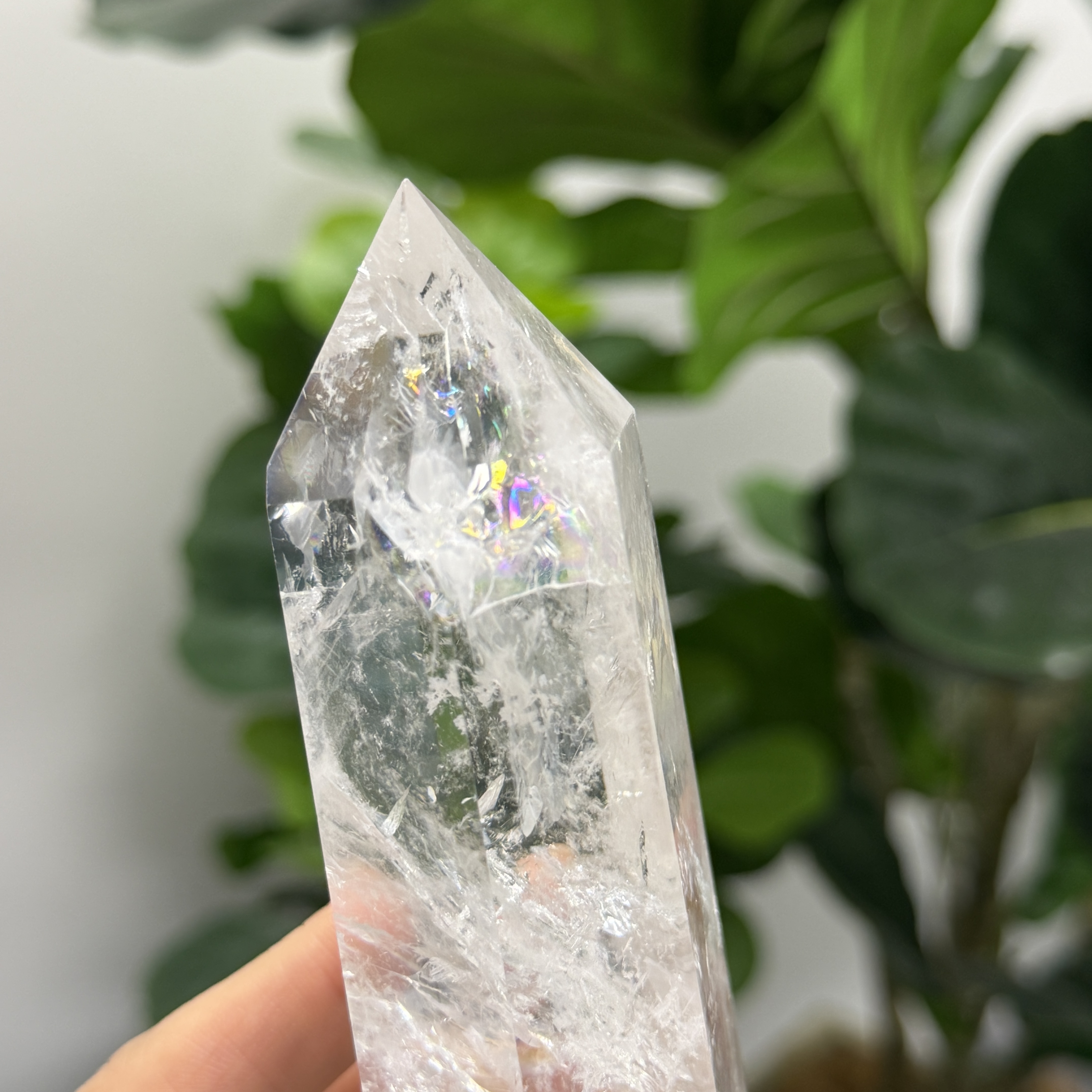 白晶柱 手圍14以上 WD2371