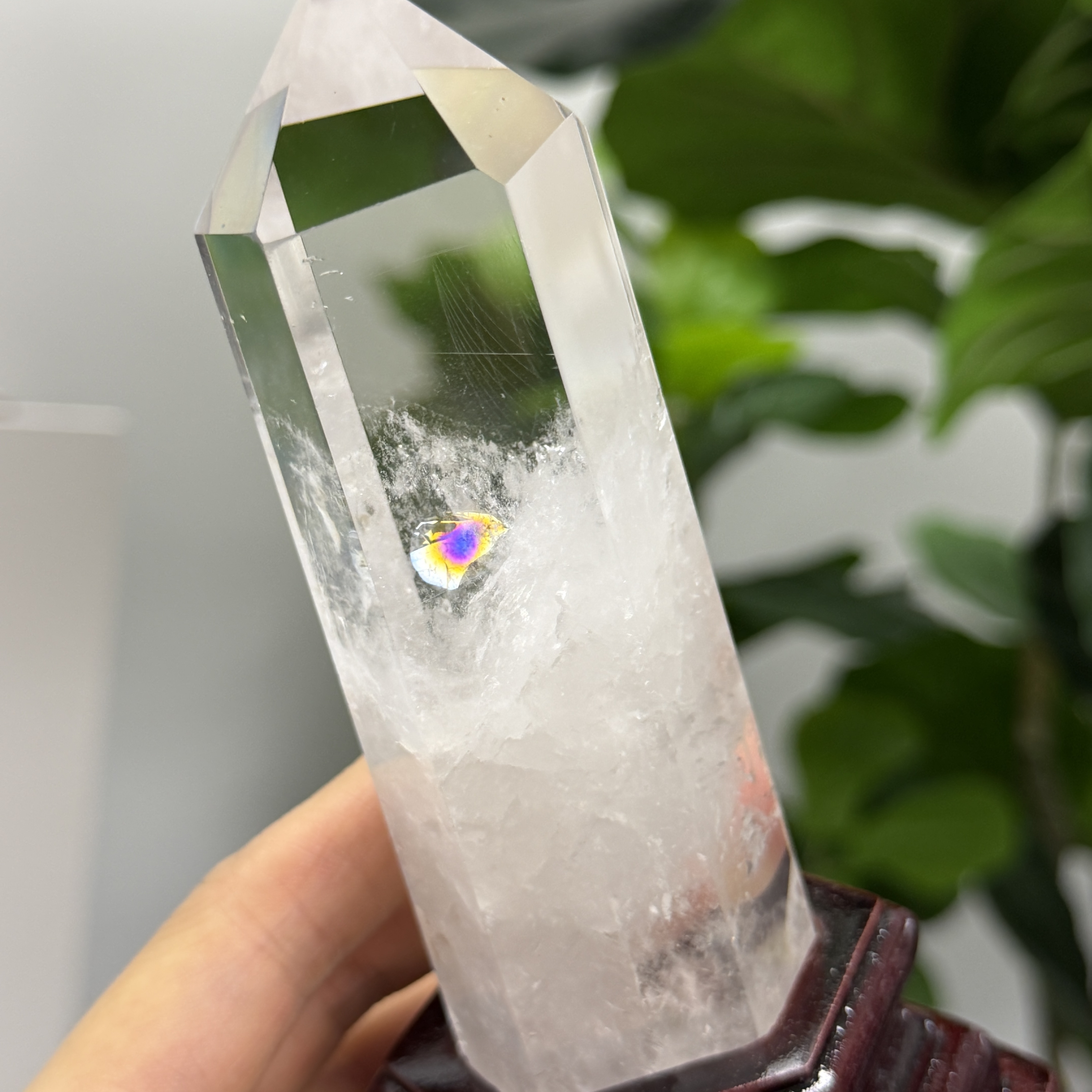 白晶柱 手圍13以上 WD2372