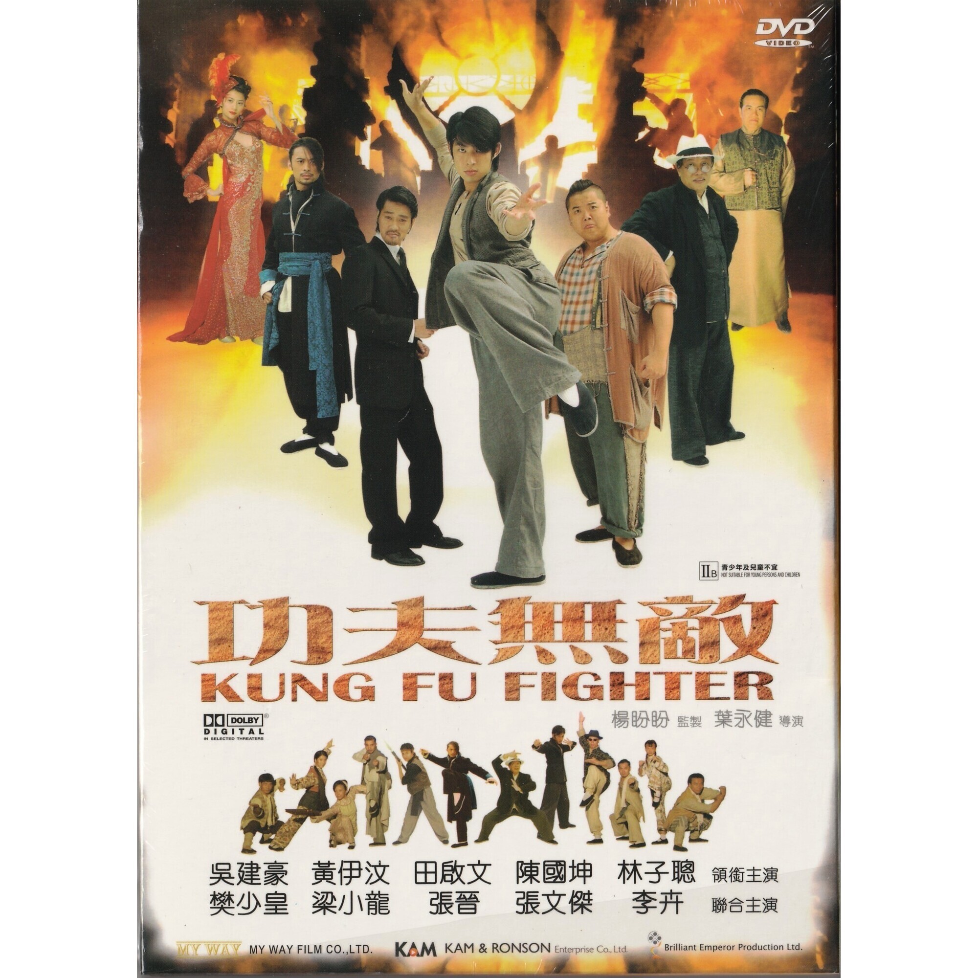 功夫無敵 (2007) (DVD)