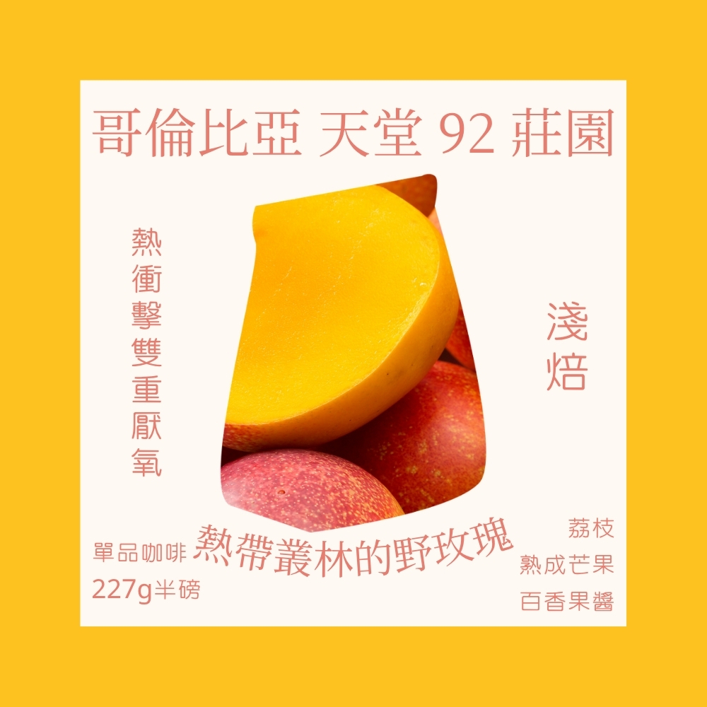 淺焙｜哥倫比亞 天堂 92 莊園 提筆卡 熱衝擊雙重厭氧 咖啡豆  半磅(227g±5g )｜暖窩咖啡