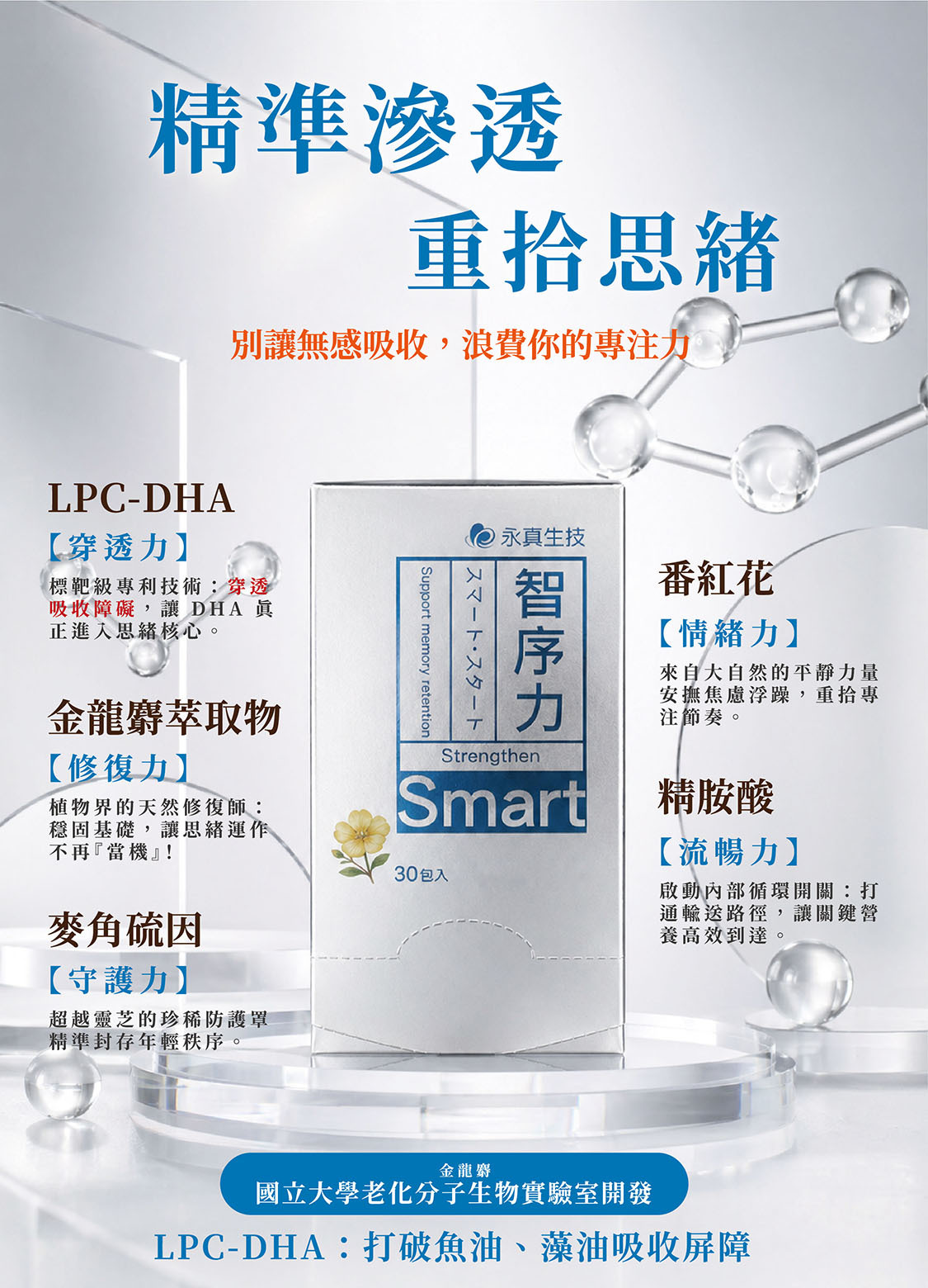 智序力5大黃金配方，LPC-DHA穿透血腦屏障，協同國立大學老化分子生物實驗室開發金龍麝、麥角硫因、番紅花與精胺酸，打破魚油、藻油吸收屏障，精準滲透，直達大腦。