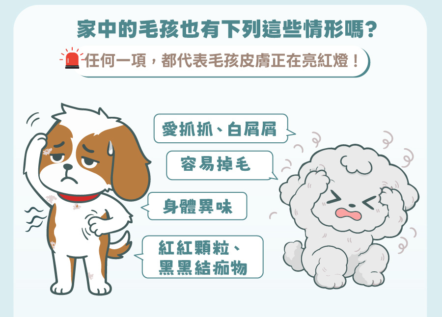 歸毛家族產品可以幫助狗狗抓癢、掉毛、身體異味及紅疹等皮膚問題,提醒飼主注意毛孩肌膚健康警訊。