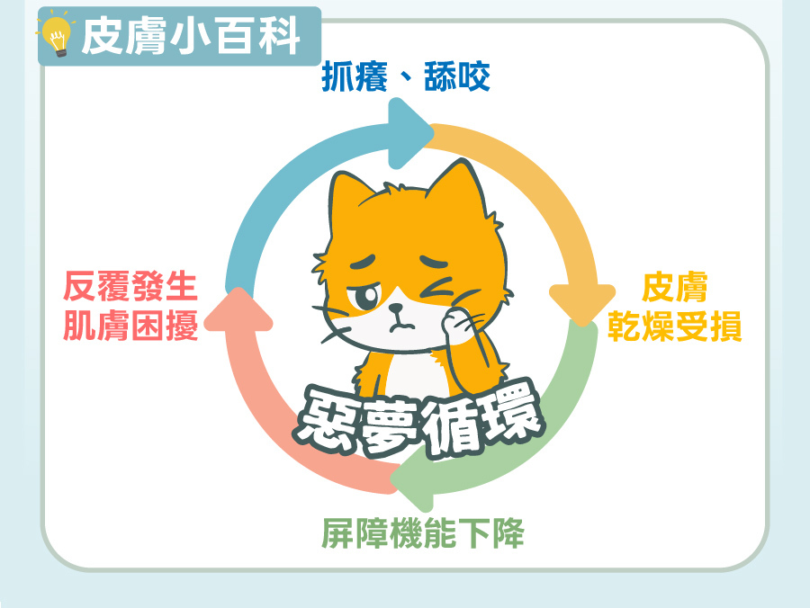 歸毛家族皮膚小百科,犬貓因抓癢舔咬、皮膚乾燥受損、屏障下降而反覆發生肌膚困擾的惡夢循環。