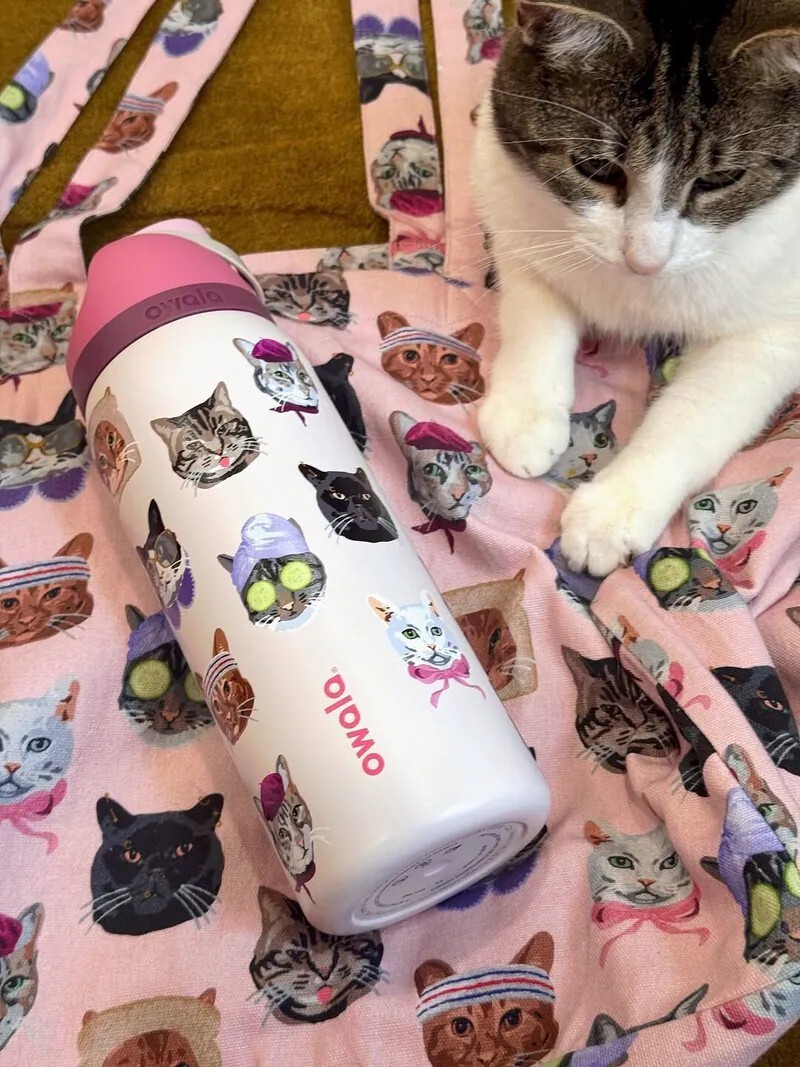 OWALA UO Exclusive FreeSip "Cat Collage" 粉色限定 貓咪 不鏽鋼保溫杯 直飲杯 吸管杯 32oz