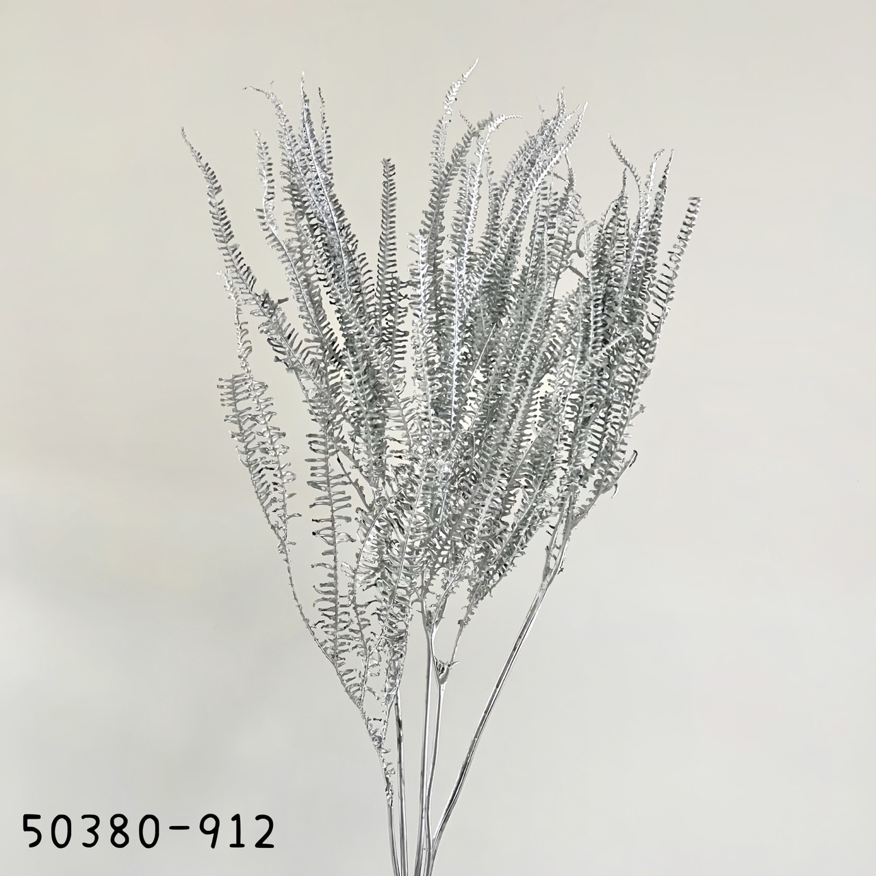 日本不凋卷娟蕨50380-912