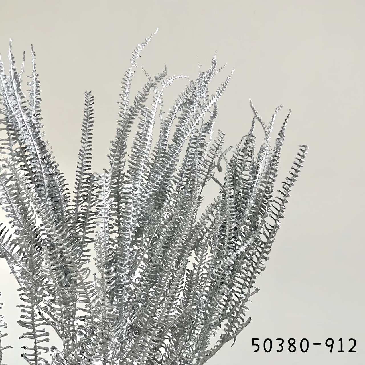 日本不凋卷娟蕨50380-912