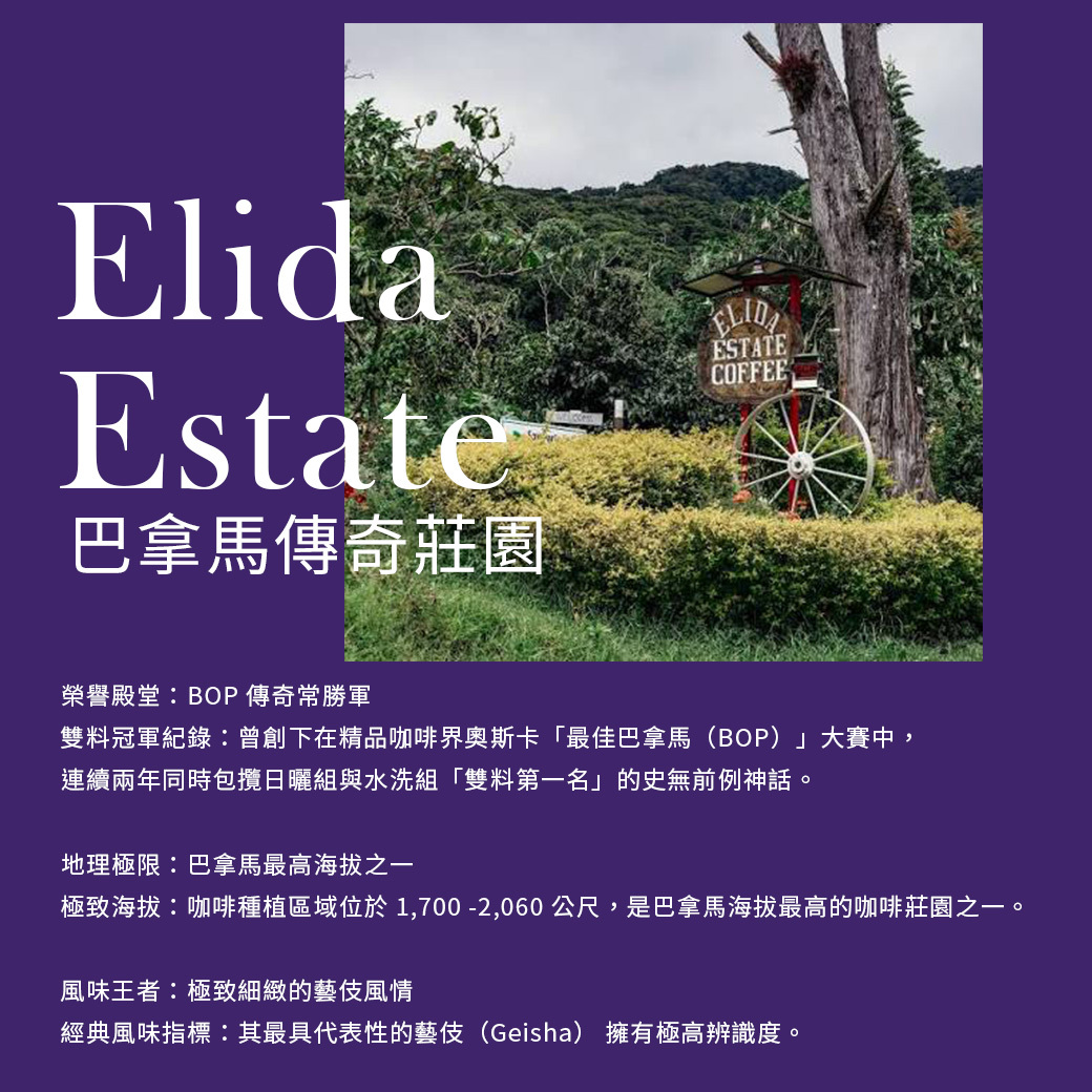 【限時57折】巴拿馬 艾利達 + 衣索比亞 亞拉拉