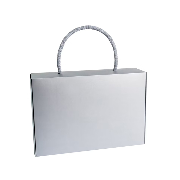 [預購] 飛機盒 6入 銀 10入/包 22.5x5.8x15.3cm【3A29-122302】