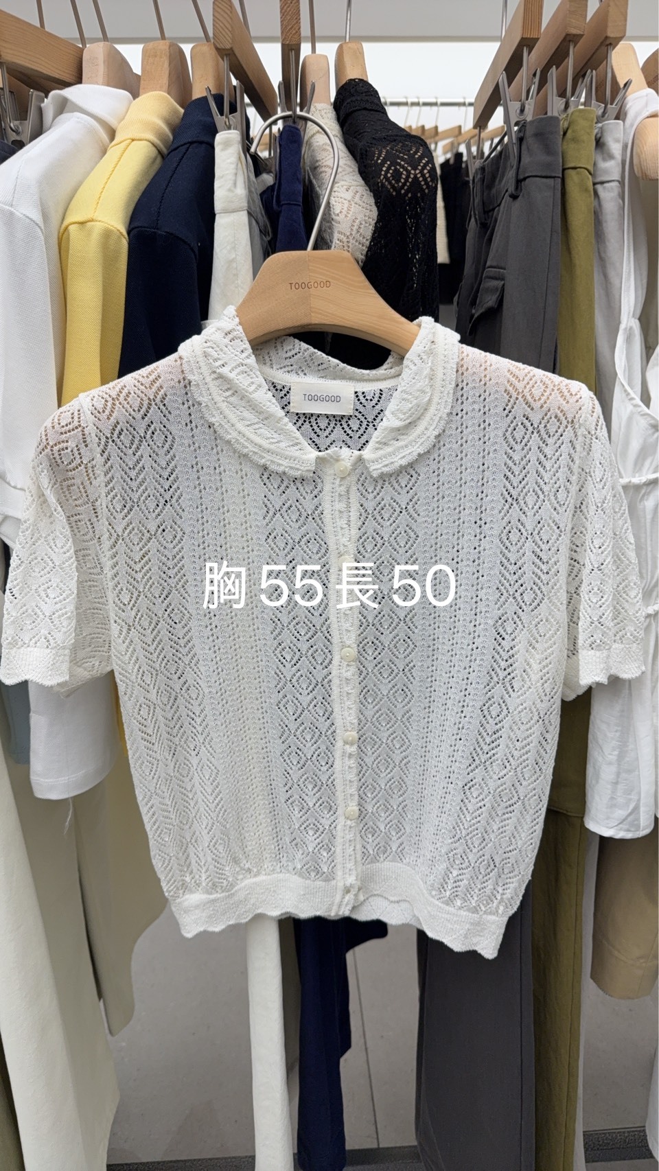 TG6440 通花娃領上衣 *特價貨品不設退換*