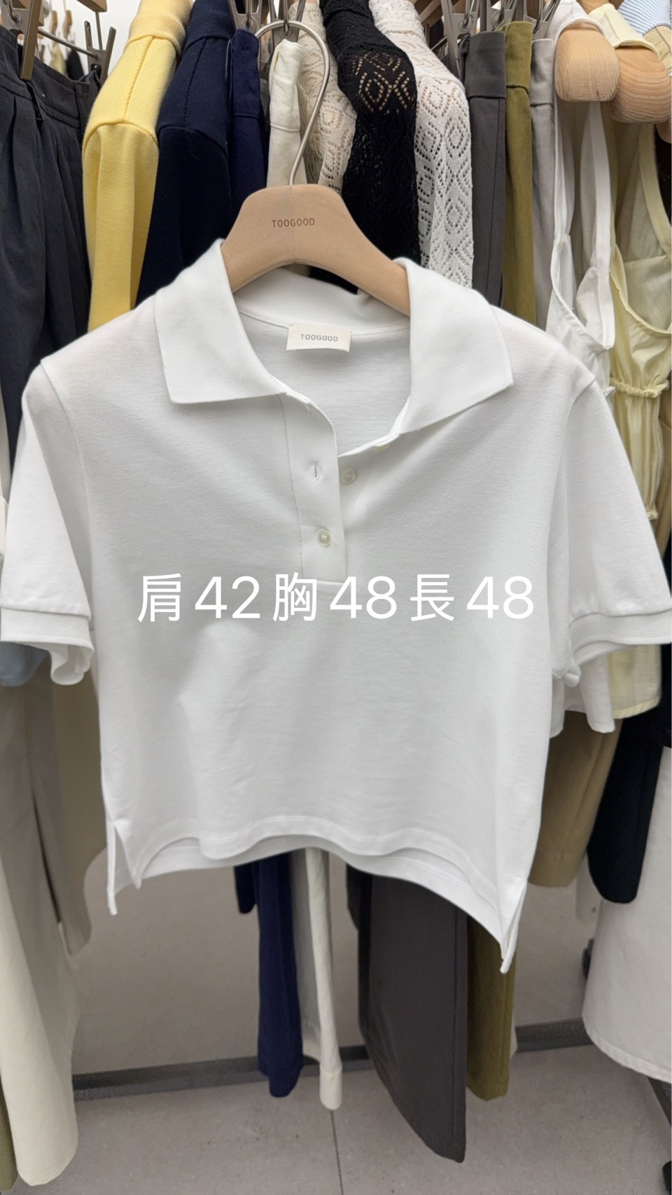 TG6443 短版Polo領上衣 *特價貨品不設退換*