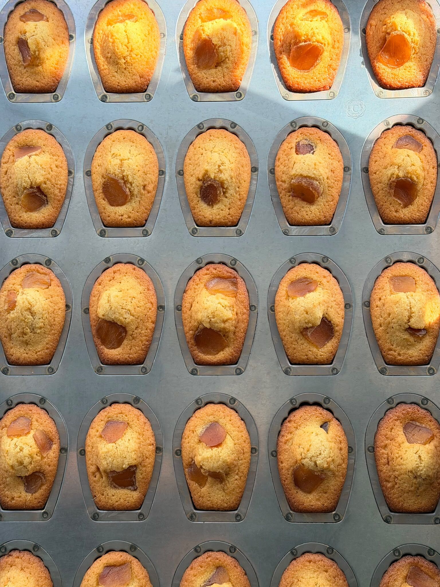 Ginger Madeleine