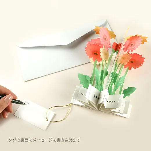 非洲菊 綻放的花朵 立體花束 生日卡片｜日本Greeting Life